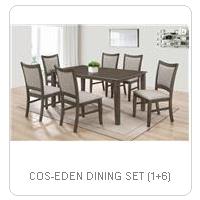 COS-EDEN DINING SET (1+6)